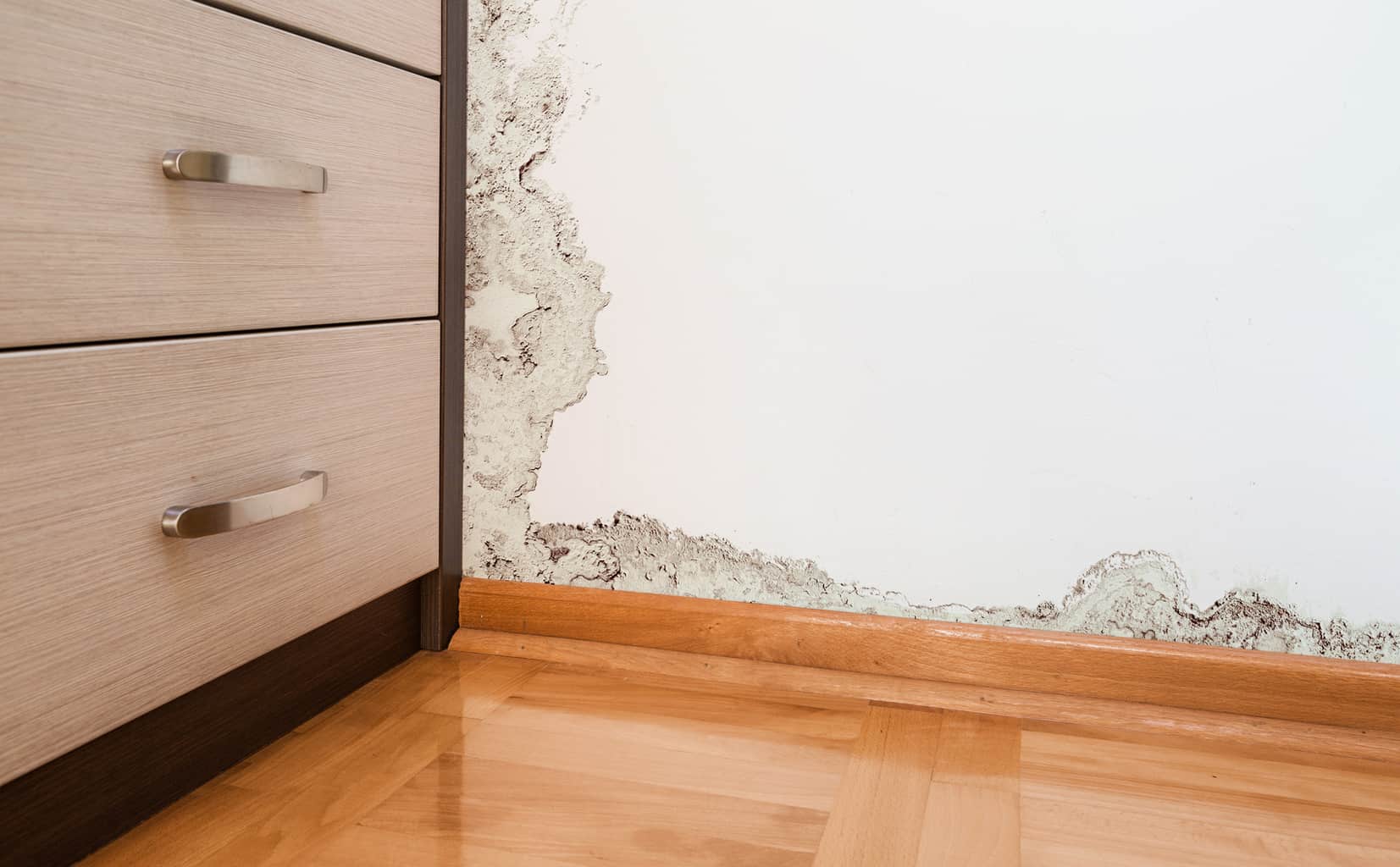 10 Effective Ways To Prevent Mold On Baseboards