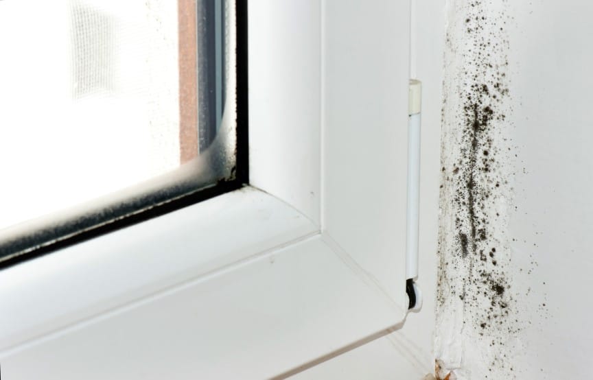 Bathroom Mold Near Window