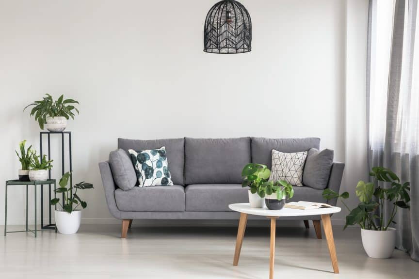 Decorating with Plants